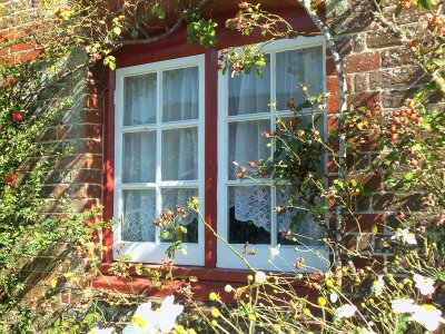 ROSEHIP WINDOW