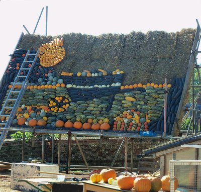 PUMPKIN DISPLAY IN CONSTRUCTION