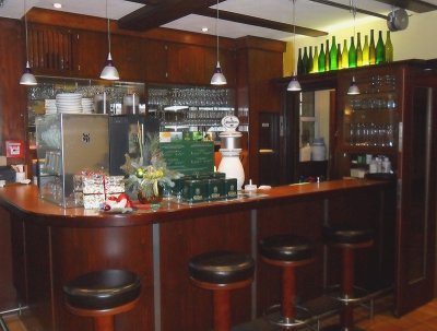 OUR HOTEL'S BAR  -  GERMANY