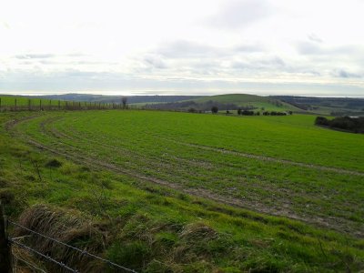 SOUTH DOWNS WAY VIEW