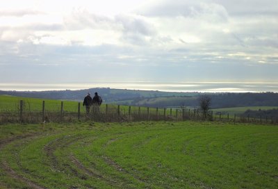 THE SOUTH DOWNS WAY
