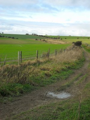 TRACK OVER THE DOWNS