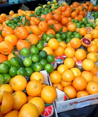 CITRUS DISPLAY