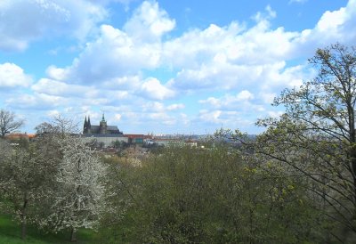 CASTLE VIEW FROM PETRIN HILL