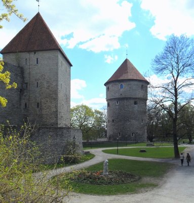 CITY WALL GARDEN