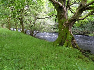 OUR OLD CAMPING PITCH