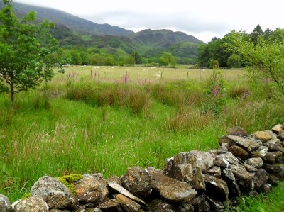 VALLEY PASTURES