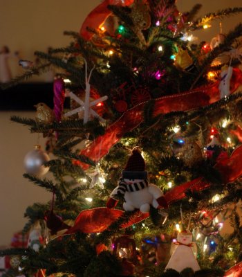 Tree.jpg
