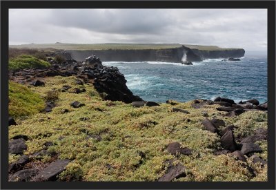 Galapagos Landscape