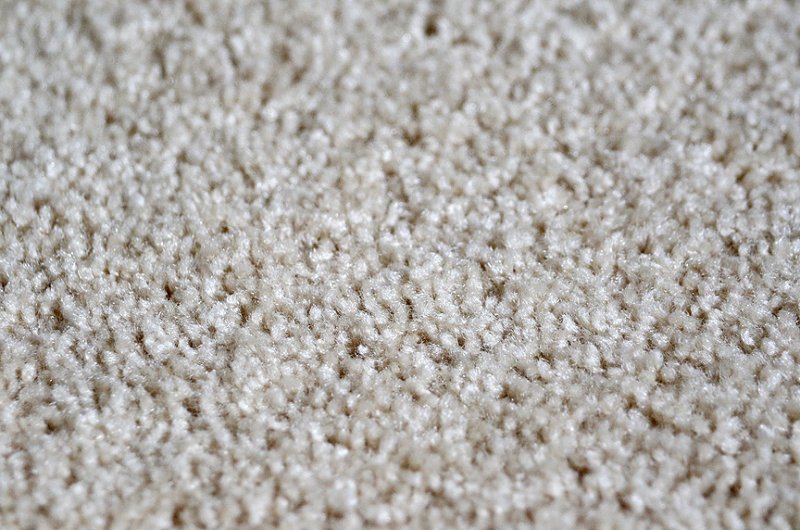 Carpet_01.5.jpg