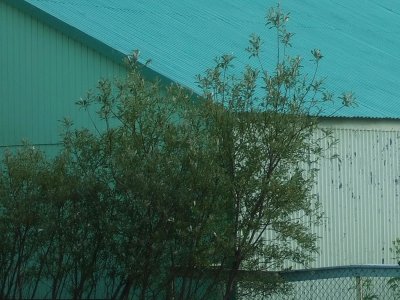 A green house or a greenhouse