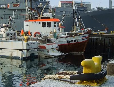 Reykjavk harbour