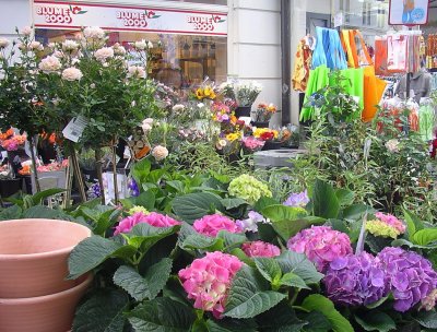 Flowershop in Germany