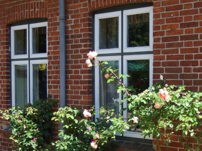 Two more windows
