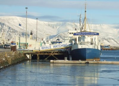 Reykjavk harbour