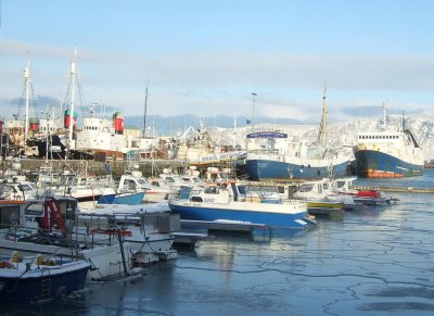 Reykjavk harbor