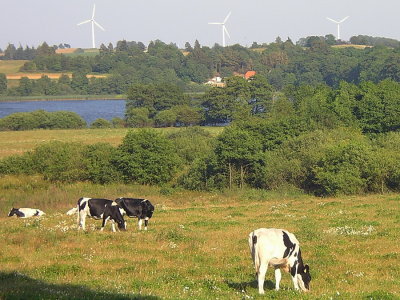 Danish countryside