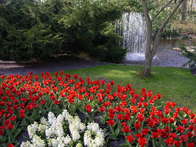 Keukenhof