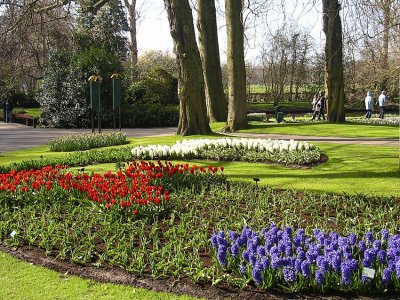 Keukenhof