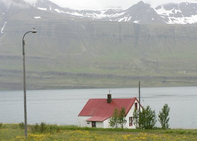 View from Reyarfjrur