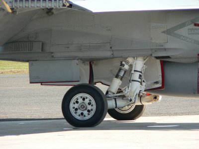 Hornet rear gear.