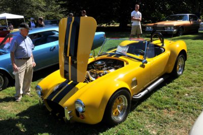 1965 Cobra replica (AMC), owned by Jim Stern, Wilmington, DE