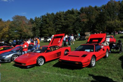 Ferraris, right to left: 308 GTS, Testarossa, 360 (2623)