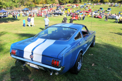 1966 Ford Shelby Mustang GT350 (2722)