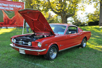 1965 Ford Mustang 2+2 fastback with 289 cid V8 (2738)