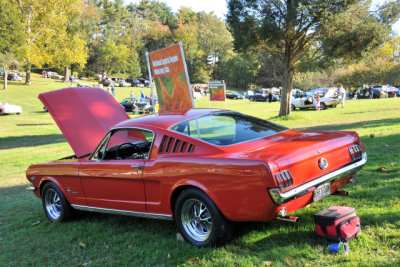 1965 Ford Mustang 2+2 fastback with 289 cid V8 (2746)