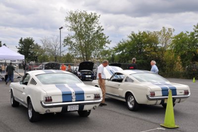 1965 and 1966 Shelby Mustang GT350 (9687)