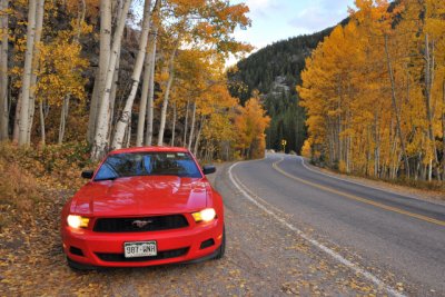 Top of the Rockies, Route 82, east of Aspen, Colorado, Oct. 2011 (2476)