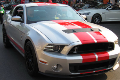 2013 Ford Shelby GT500 (1252)