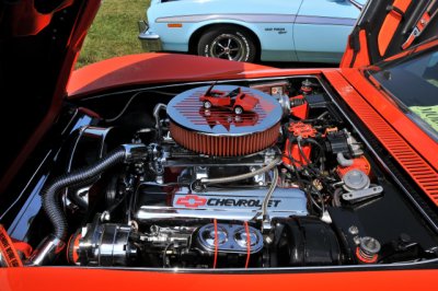 1969 Chevrolet Corvette custom (5363)