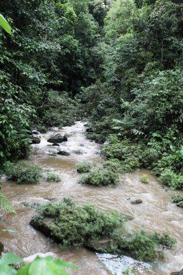 Maliau River Tributary