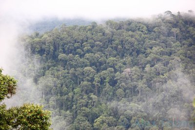 Maliau Basin rim