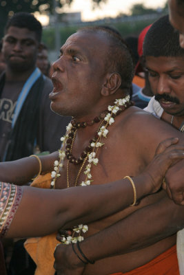 Thaipusam festival.jpg