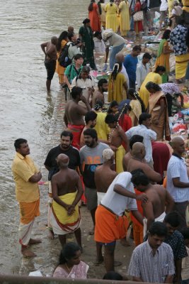 Thaipusam festival.jpg