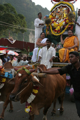 Thaipusam festival.jpg