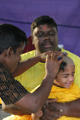 Thaipusam festival.jpg