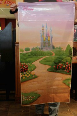 Magic Kingdom Background