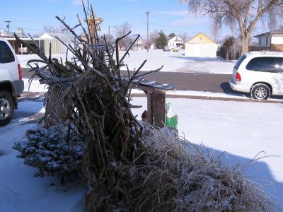 IMG_0617.JPG