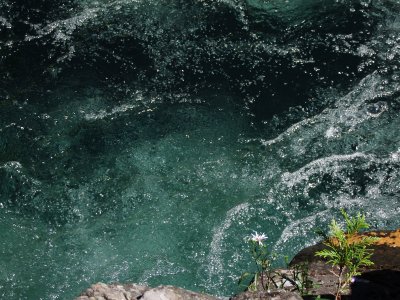 Elk Falls