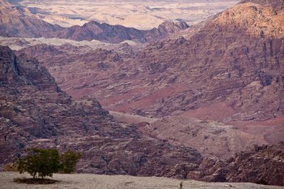 Petra-2.jpg