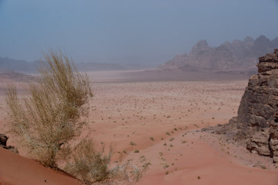 Wadi-6.jpg
