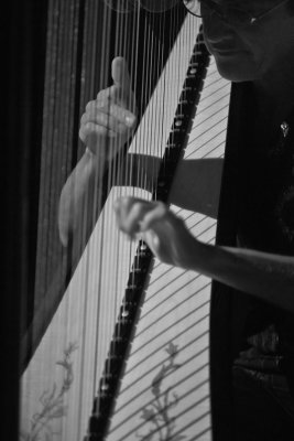 The harpist