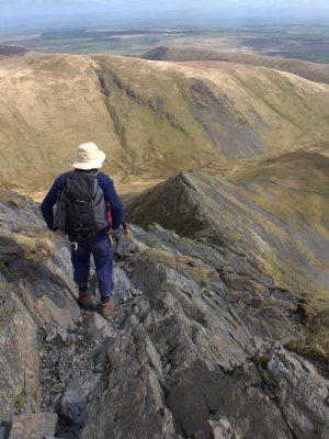 Martin On Sharp Edge