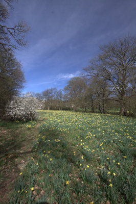 Farndale