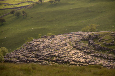 Limestone Pavement At Malham Cove