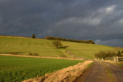 Fields Near Kirkham